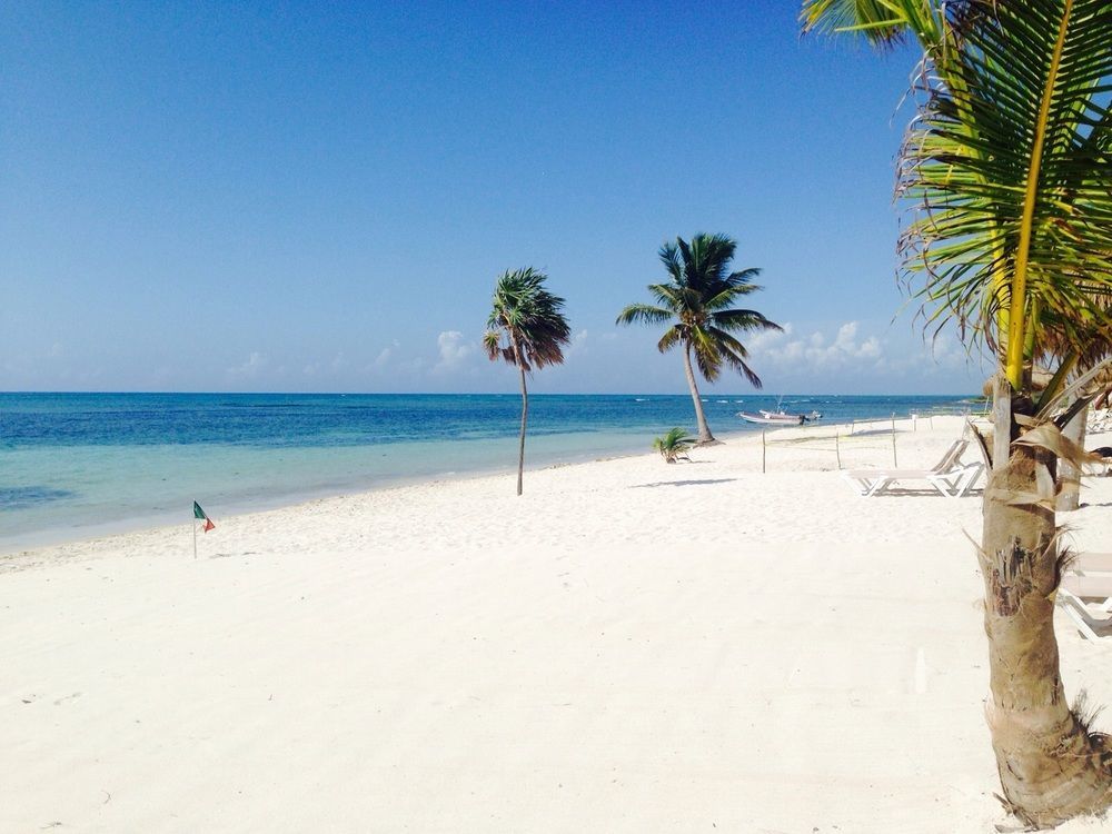 Pavoreal Beach Resort Tulum Extérieur photo